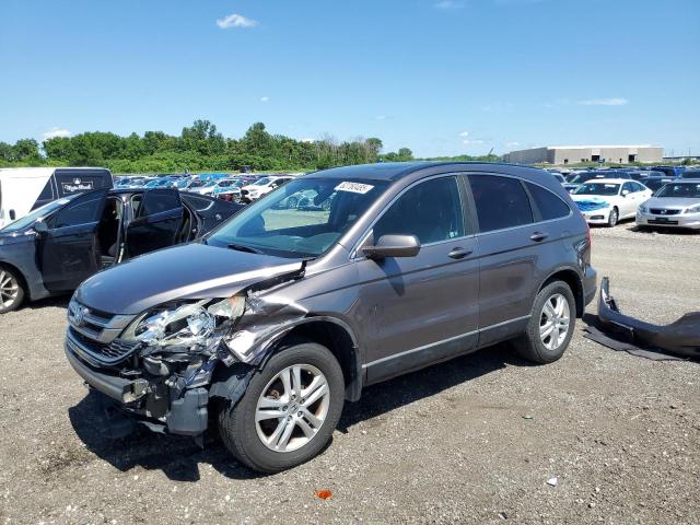 Vin: 5j6re4h71bl052704, lot: 62760485, honda crv exl 2011 img_1