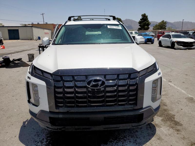 2024 HYUNDAI PALISADE X KM8R34GE3RU662289