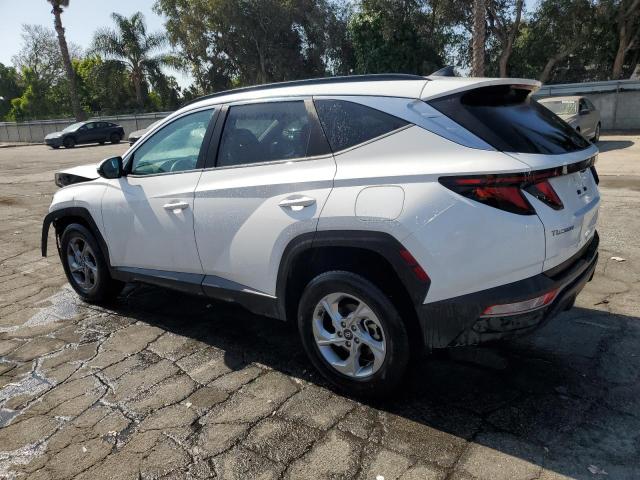 2024 HYUNDAI TUCSON SEL 5NMJBCDE3RH307519