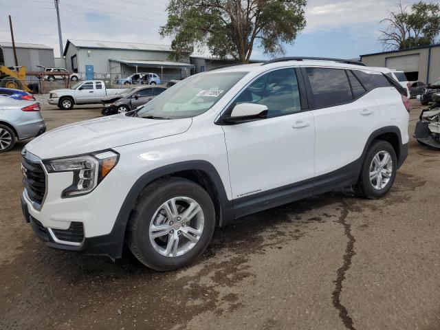 Vin: 3gkalmeg5rl330830, lot: 60170995, gmc terrain sle 2024 img_1
