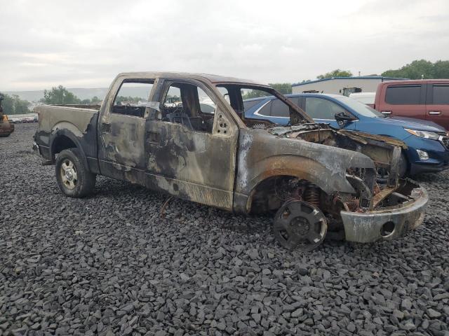 2010 FORD F150 SUPER - 1FTFW1EV4AFC23272
