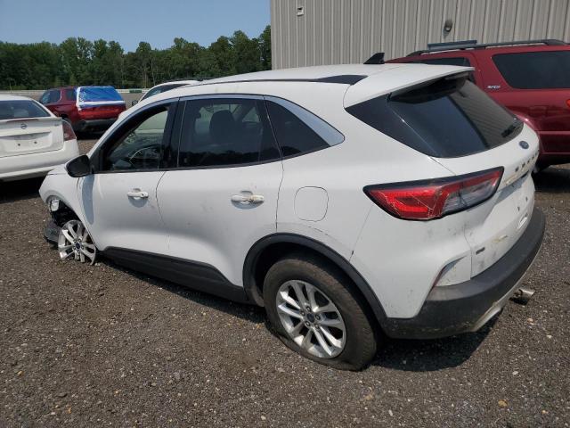 2020 FORD ESCAPE SE - 1FMCU9G60LUA59302