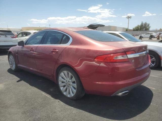 JAGUAR XF PREMIUM 2009 burgundy  gas SAJWA06B59HR02336 photo #3
