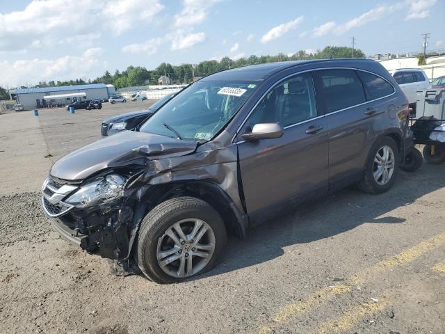 Vin: 5j6re4h78al023022, lot: 60555335, honda crv exl 2010 img_1