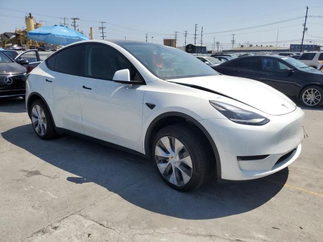 2024 TESLA MODEL Y 7SAYGDED3RF095611