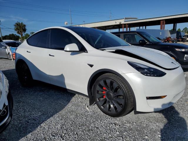 2022 TESLA MODEL Y - 7SAYGDEF5NF376966