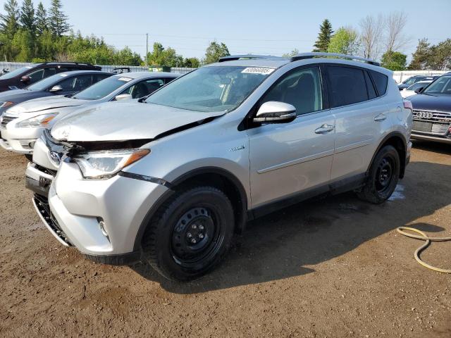 Vin: jtmrjrev6gd031589, lot: 60066005, toyota rav4 xle 2016 img_1