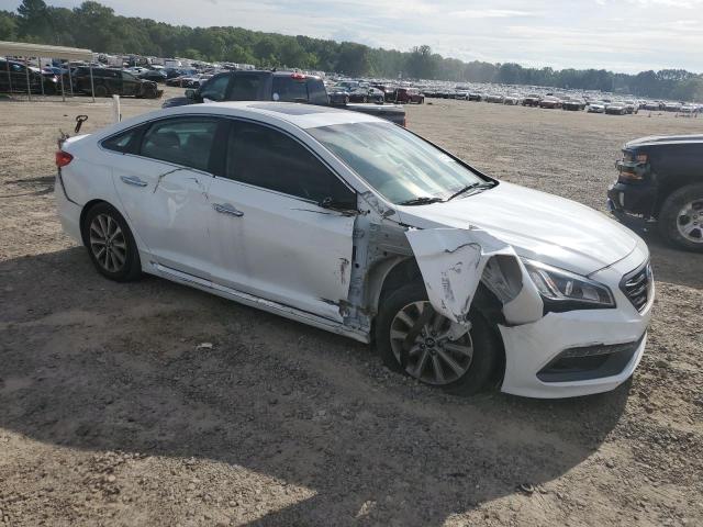 2017 HYUNDAI SONATA SPORT 5NPE34AF6HH547831