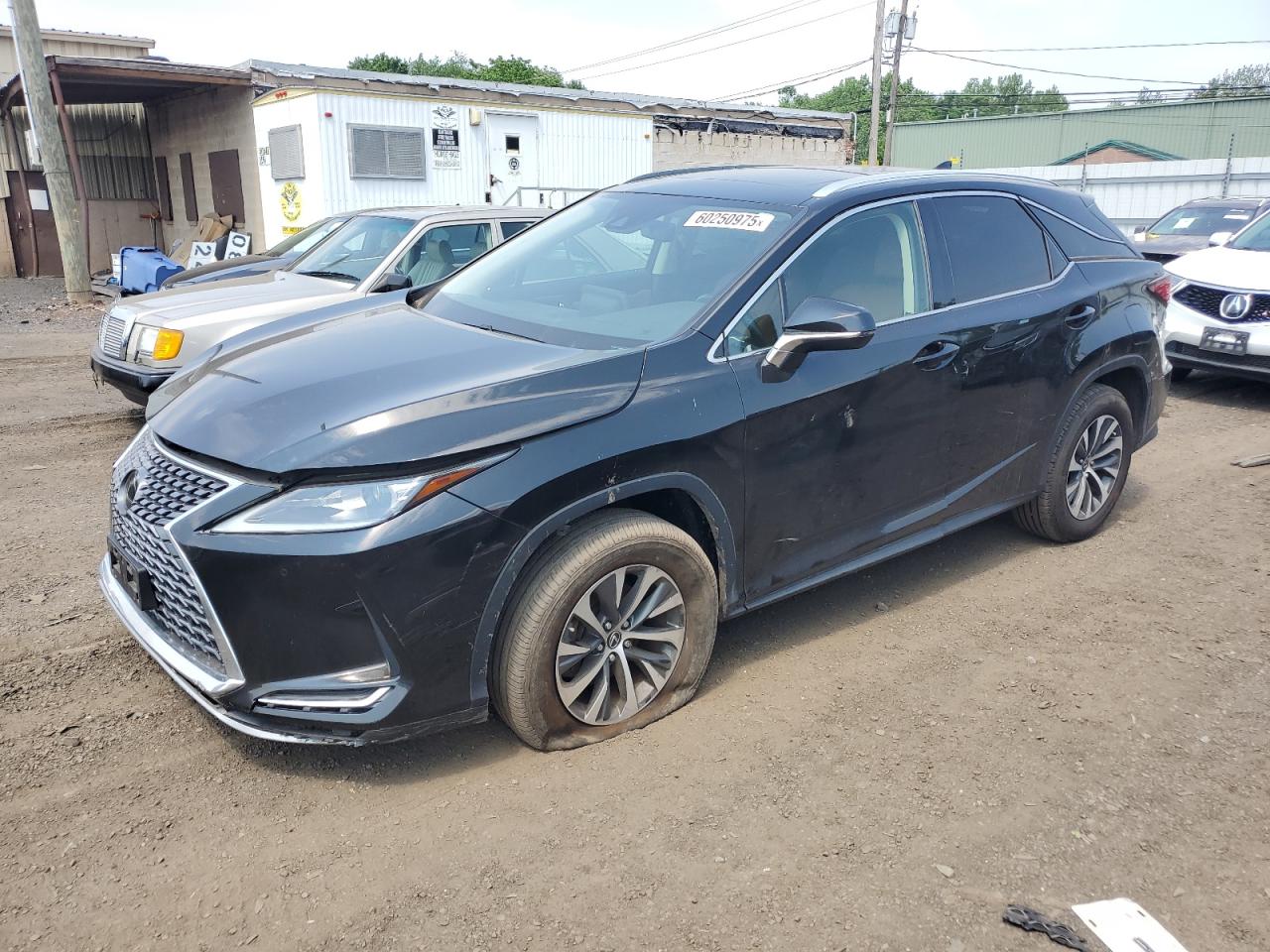 Lot #3269763683 2021 LEXUS RX 350