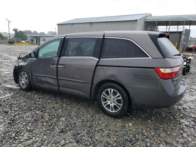 Vin: 5fnrl5h69bb099099, lot: 59696955, honda all models exl 20112
