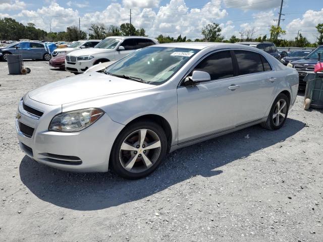 Vin: 1g1zc5e14bf242957, lot: 61125445, chevrolet malibu 1lt 2011 img_1
