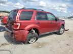Lot #3304765960 2012 FORD ESCAPE XLT