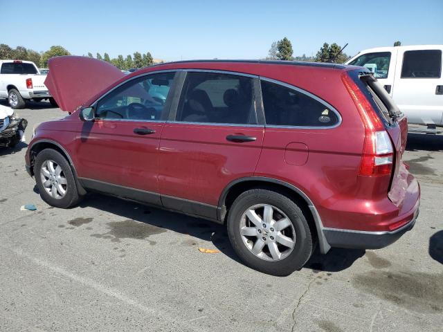 HONDA CR-V SE 2011 burgundy  gas 5J6RE3H4XBL043368 photo #3