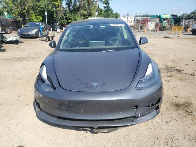 2023 TESLA MODEL 3 #3298145250
