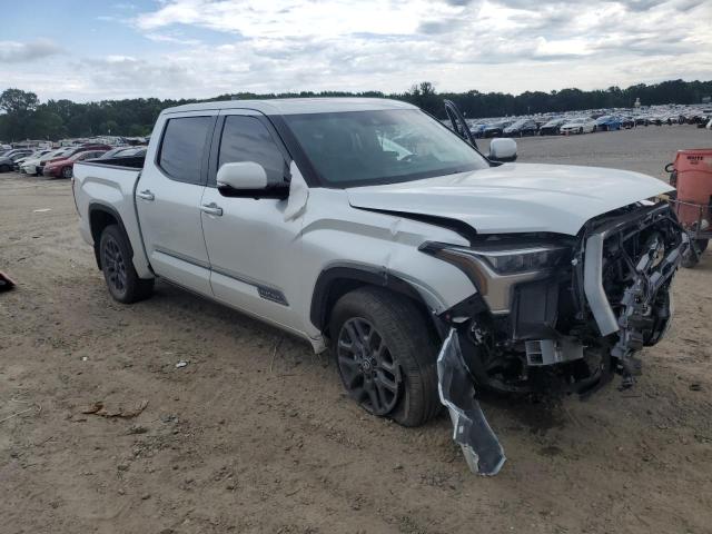 2025 TOYOTA TUNDRA CREWMAX PLATINUM 5TFNA5DB3SX284570