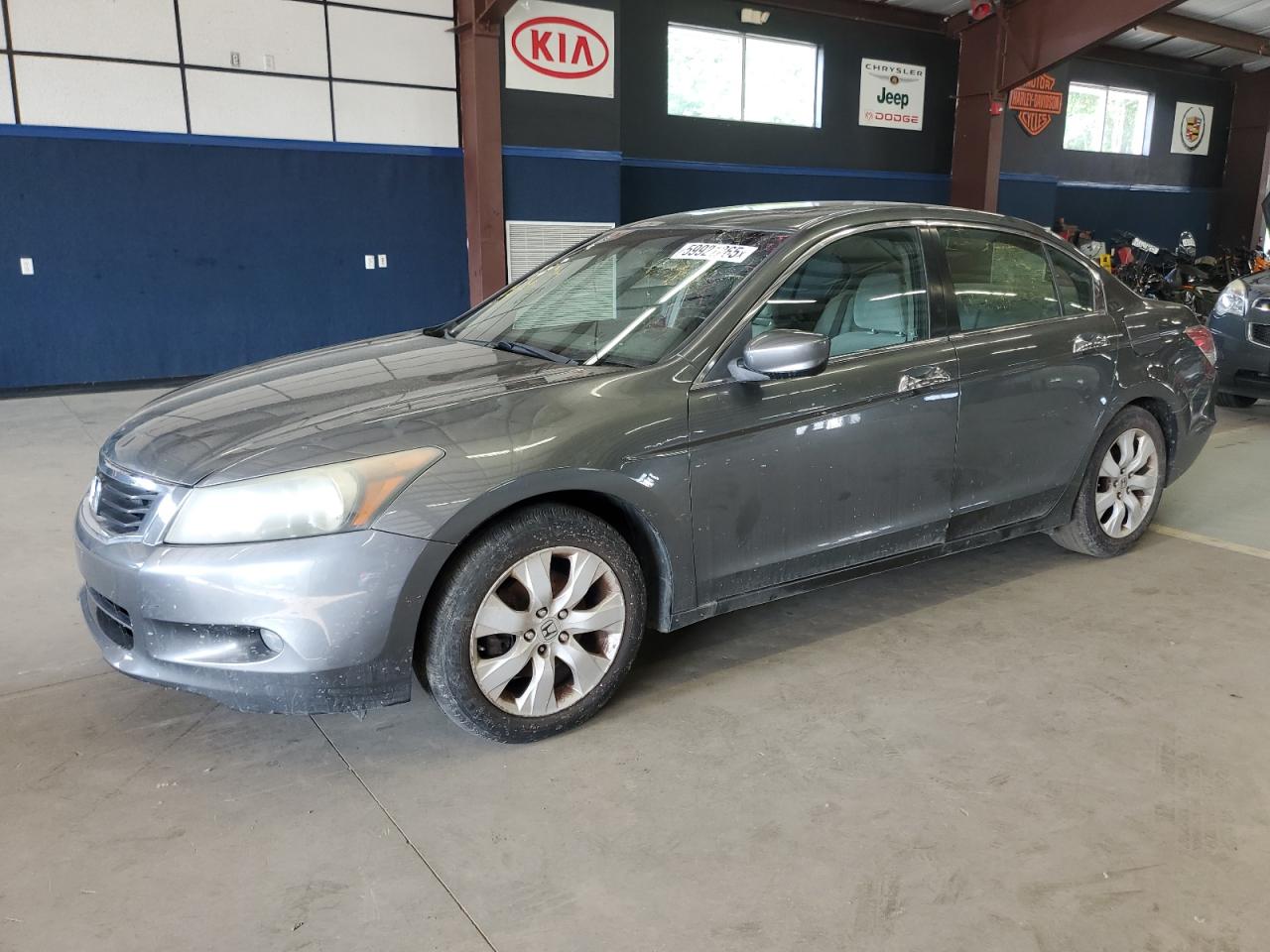 HONDA ACCORD EXL