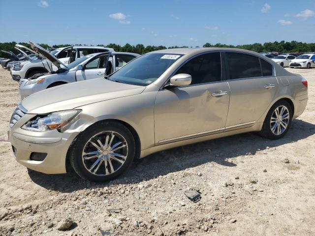 Vin: kmhgc4df0au107342, lot: 61362425, hyundai genesis 4.6l 2010 img_1