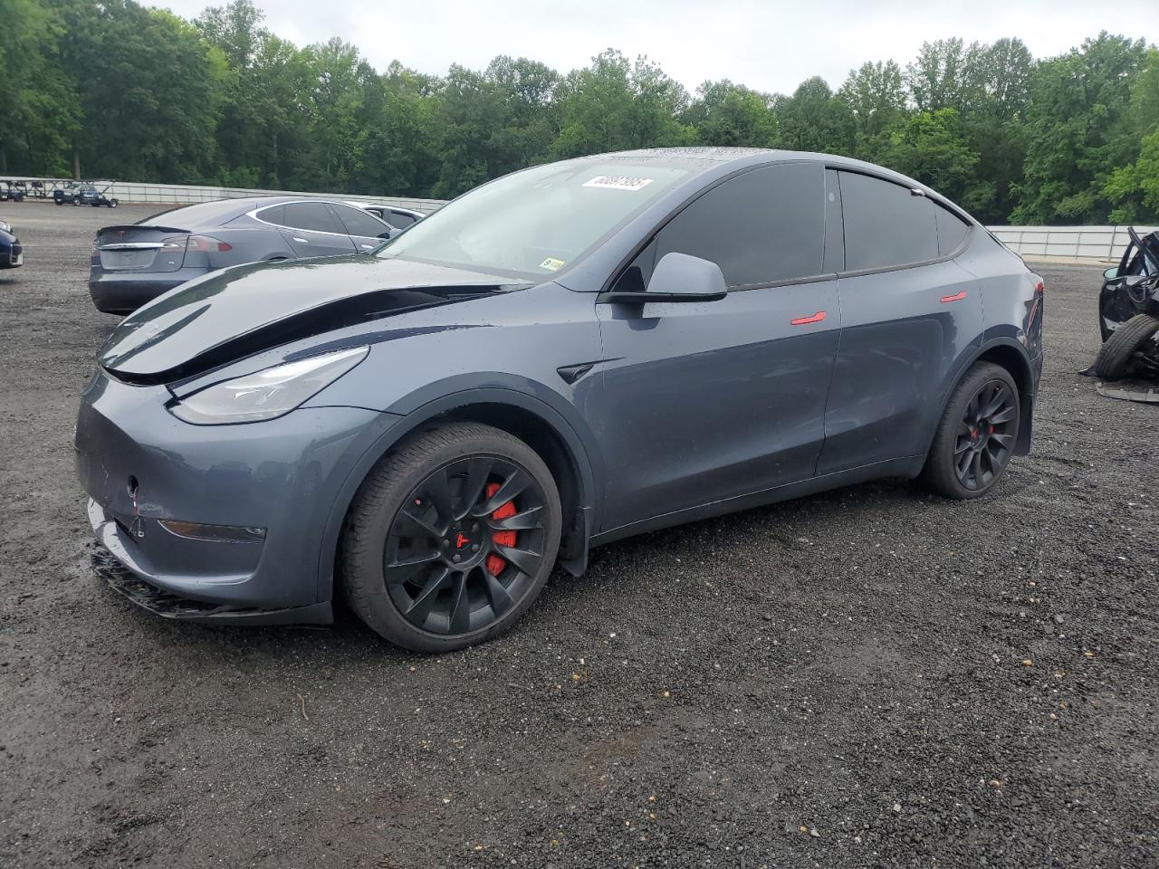 TESLA MODEL Y