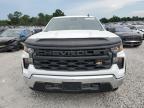 Lot #3301520513 2024 CHEVROLET SILVERADO K1500