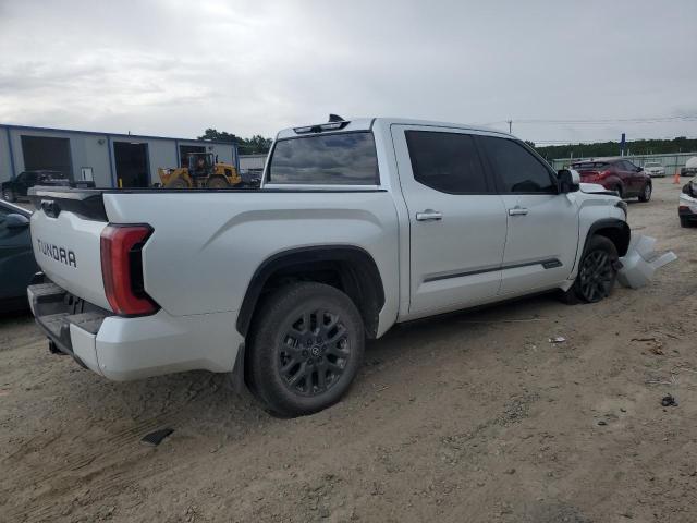 2025 TOYOTA TUNDRA CREWMAX PLATINUM 5TFNA5DB3SX284570