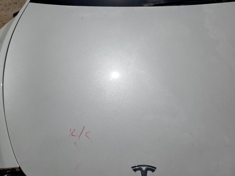2023 TESLA MODEL Y 7SAYGDEE0PA070927