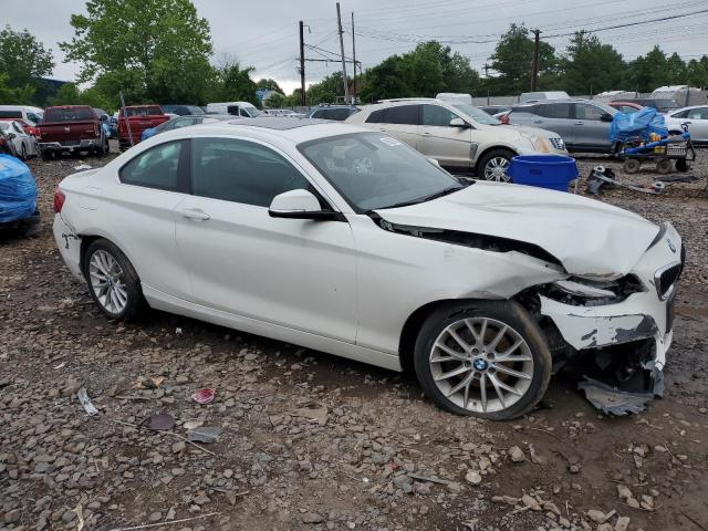 2016 BMW 228 XI SUL WBA1G9C53GV599188