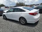 Lot #3303884737 2017 HYUNDAI SONATA SE