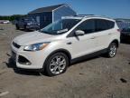 2016 FORD ESCAPE TIT - 1FMCU9J92GUA25029