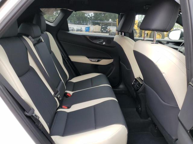 2023 LEXUS NX 250 JTJADCAZ5P5011769