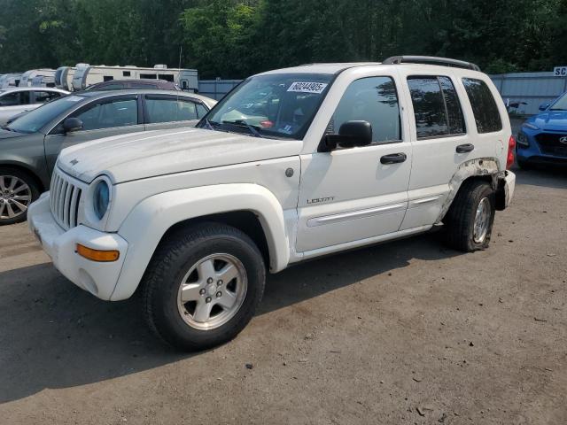 Global Auto Auctions: 2004 JEEP LIBERTY LI