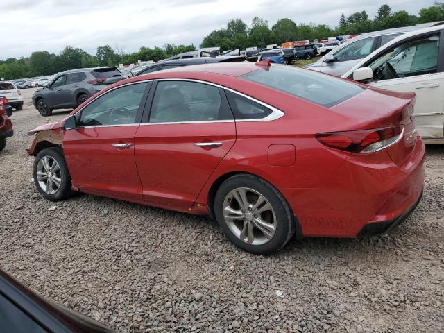 2019 HYUNDAI SONATA LIM 5NPE34AF8KH814989