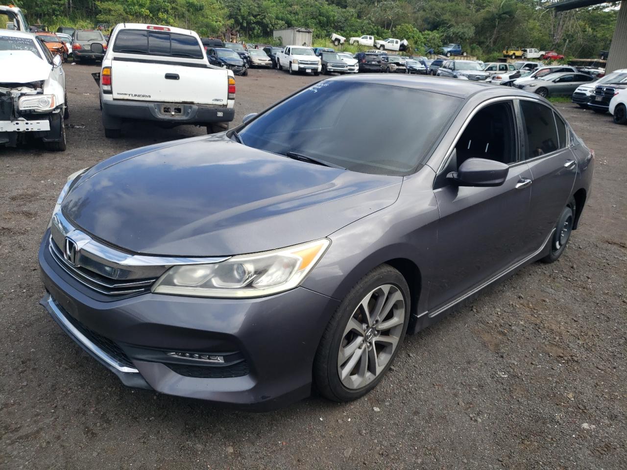 HONDA ACCORD SPORT