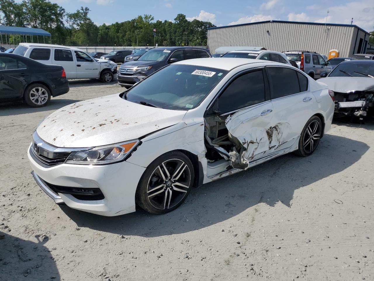 HONDA ACCORD SPORT SPECIAL EDITION