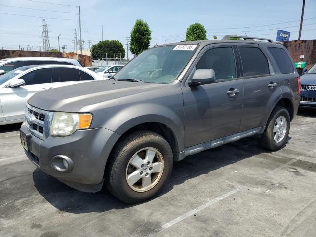 Vin: 1fmcu0dg6bka75202, lot: 60362195, ford escape xlt 2011 img_1