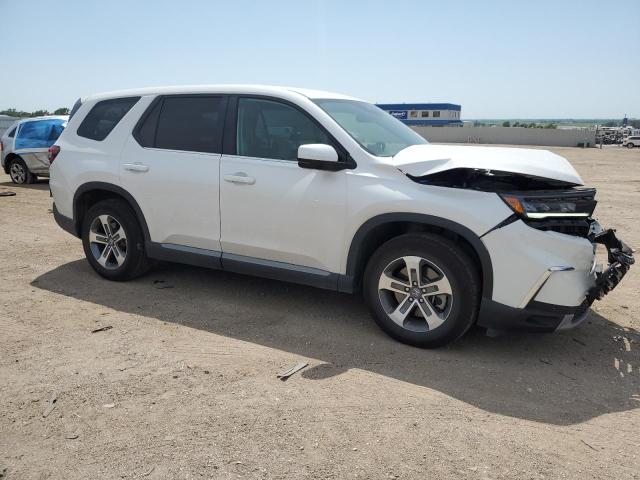 2024 HONDA PILOT EXL - 5FNYG1H49RB041351