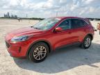 2021 FORD ESCAPE SE - 1FMCU0G60MUA98193