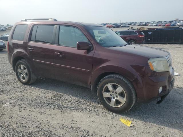 Vin: 5fnyf4h56bb071538, lot: 60703335, honda pilot exl 20114