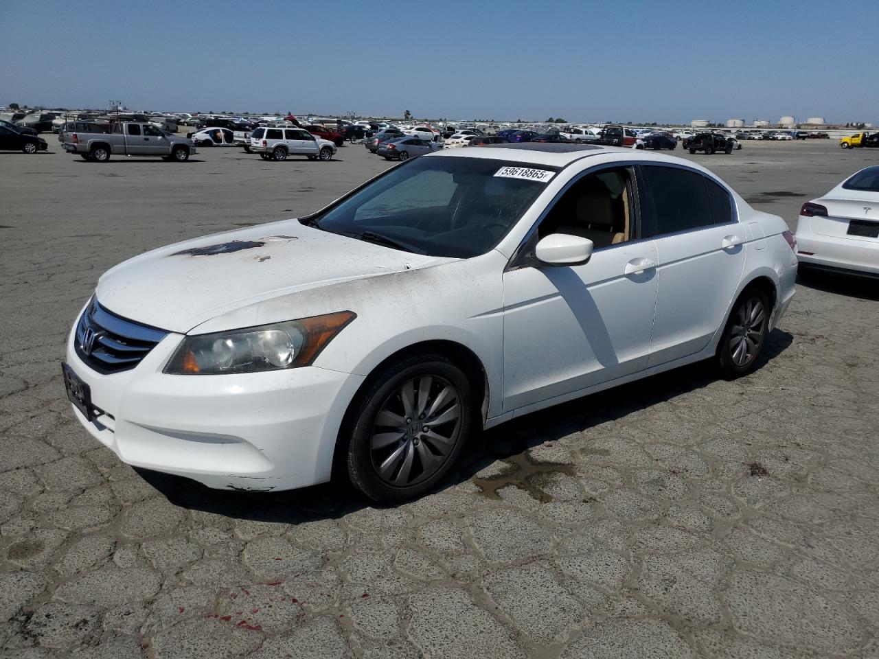 HONDA ACCORD EXL
