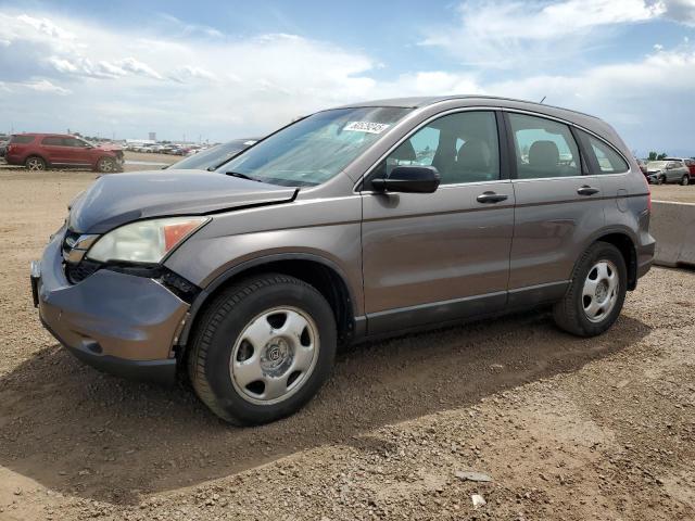 Vin: 5j6re4h32al071516, lot: 60529245, honda crv lx 2010 img_1