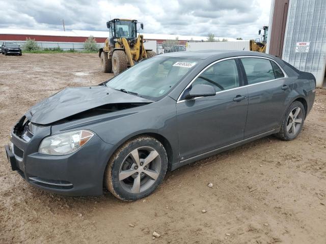 CHEVROLET MALIBU 2LT