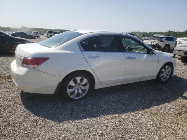 Vin: 5kbcp3f81ab016607, lot: 60242205, honda accord exl 20103