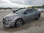 2017 NISSAN MAXIMA 3.5 - 1N4AA6AP0HC455270