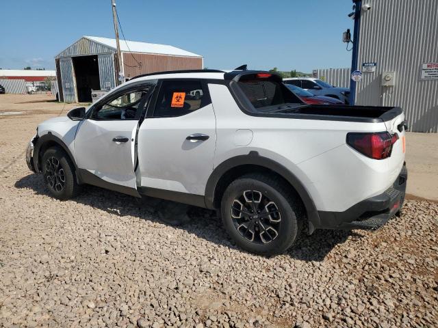 Vin: 5ntjcdae8ph072897, lot: 61424505, hyundai santa cruz sel 20232