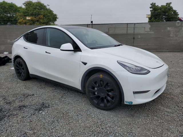 2021 TESLA MODEL Y 5YJYGDEEXMF219162