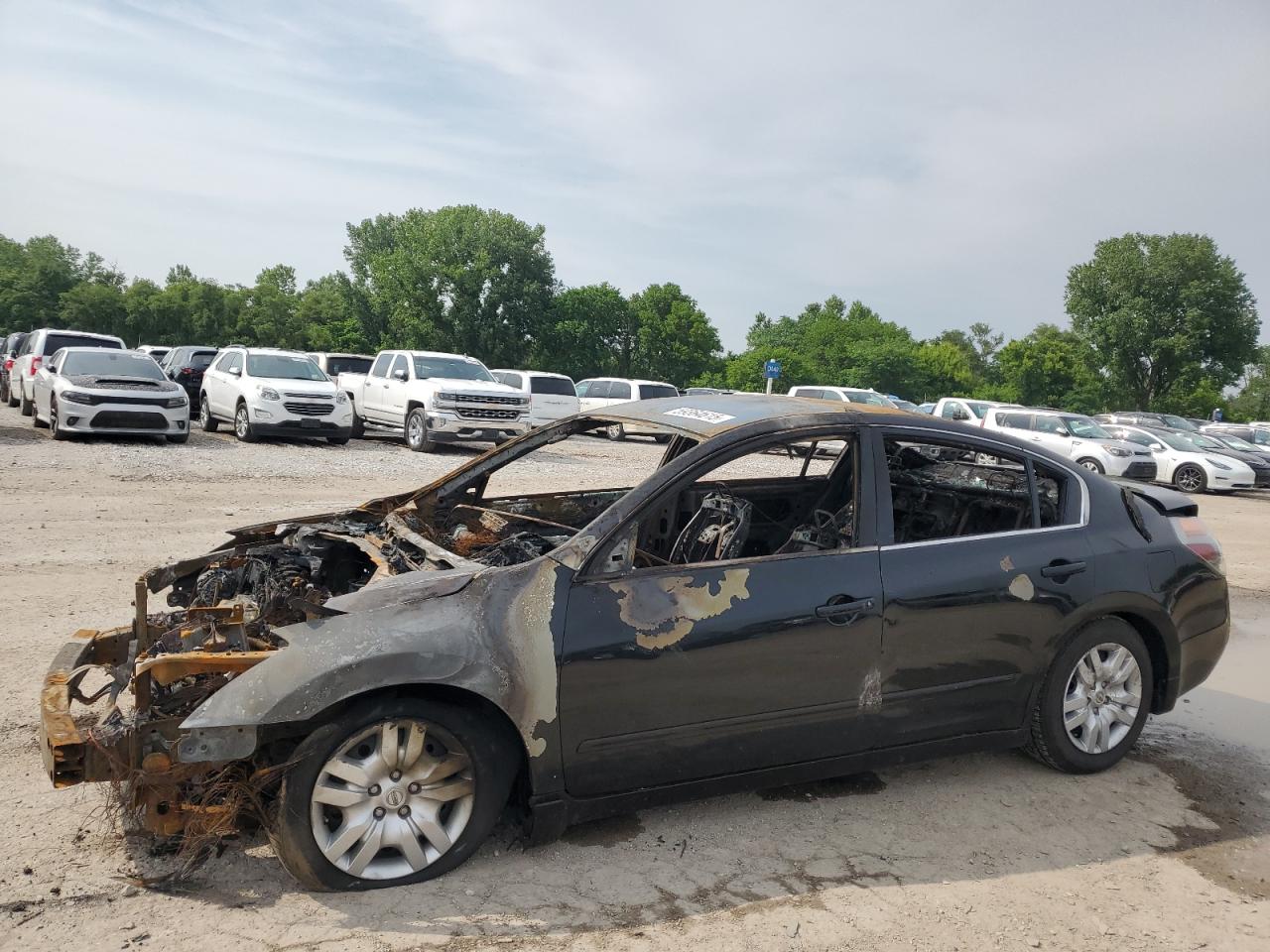 NISSAN ALTIMA BASE