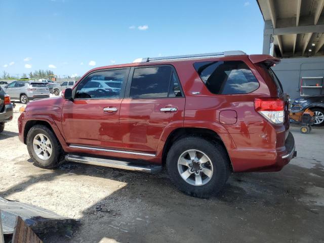 TOYOTA 4RUNNER SR 2011 red 4dr spor gas JTEZU5JR7B5018079 photo #3