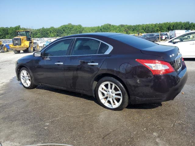 Vin: 1n4aa5ap4bc851512, lot: 61916695, nissan maxima s 20112