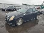 Top Destinations for Shipping Cars from the USA