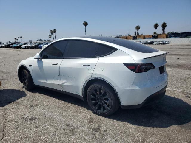 2021 TESLA MODEL Y 5YJYGDEE4MF301453