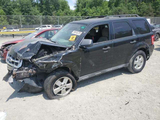 2011 FORD ESCAPE XLT - 1FMCU9D74BKA52358